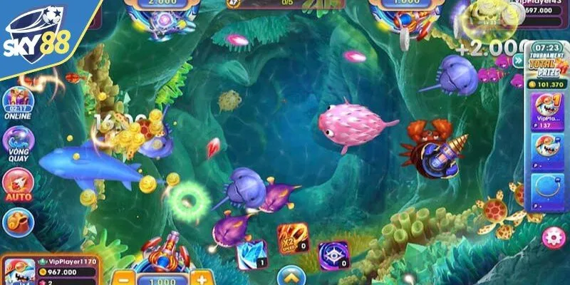 Hệ sinh thái đa dạng quy tụ hàng trăm loài cá