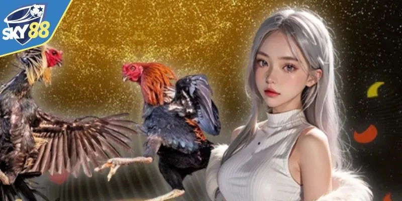 Tìm hiểu thông tin về sân cược đá gà Sky88